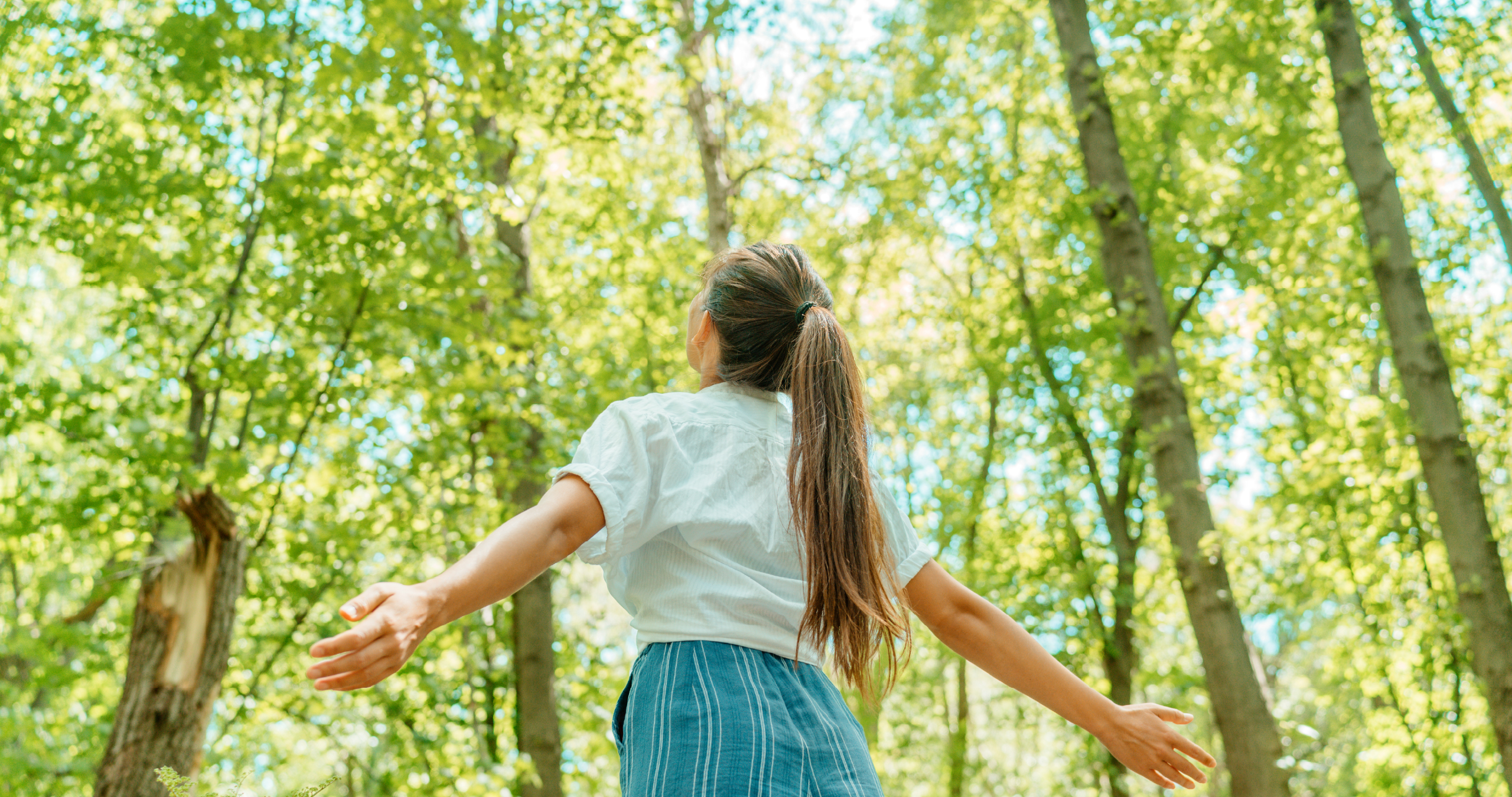 SOFTEN – Green Soft Skills for a Sustainable future
